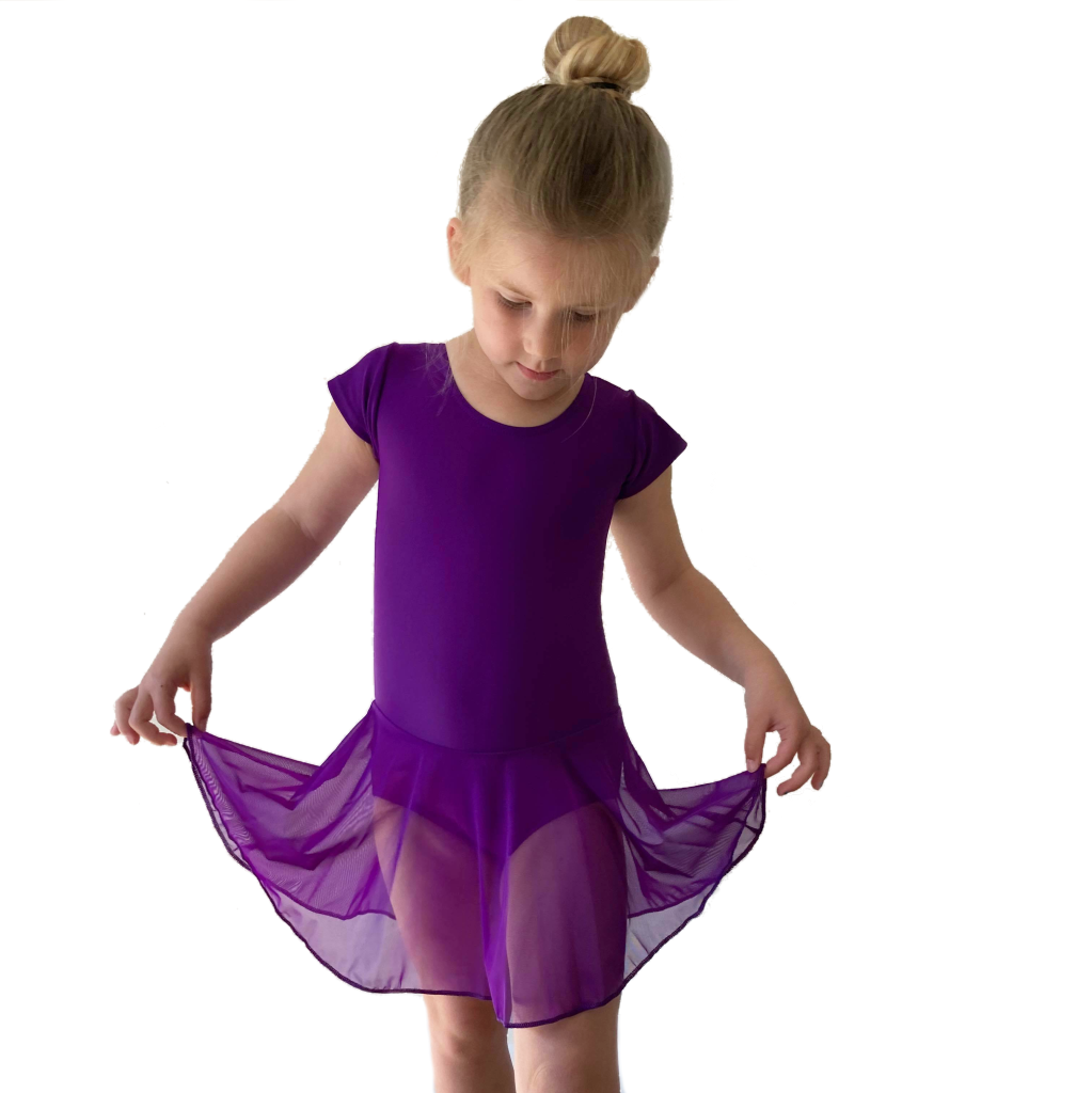 MAISIE - MATT LYCRA CAP SLEEVE SKIRTED LEOTARD (MESH SKIRT)