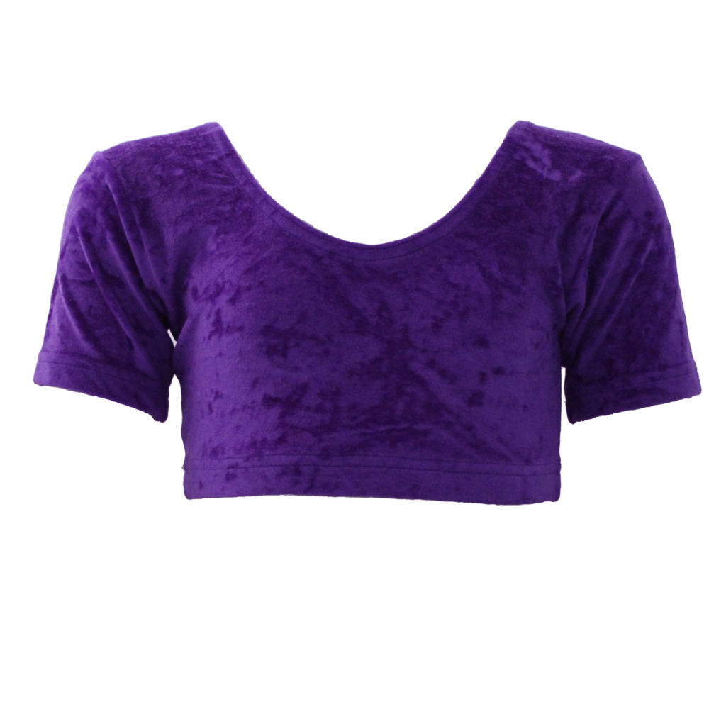 SALE - DONNA - VELOUR SHORT SLEEVE CROP TOP - PURPLE - SIZE 1 (AGE 6-8)