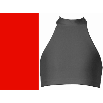 SALE - STACEY - LYCRA POLO NECK HALTER BACK CROP TOP - SIZE 5